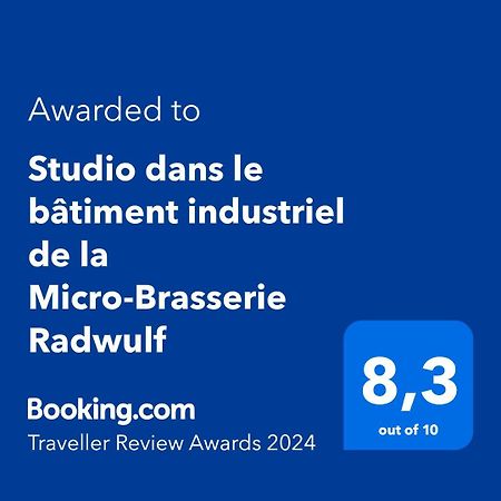 Studio Dans Le Batiment Industriel De La Micro-Brasserie Radwulf Apartamento Vieux-Ferrette Exterior foto